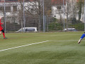 Dahenf-21
