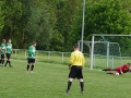 TSV-SteinII-21