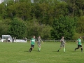 TSV-SteinII-24