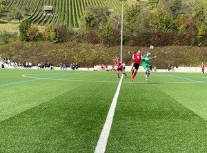 Hardthausen II - TSV (1)