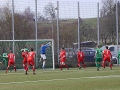 Dahenf-13