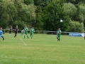 TSV-Oedh-3