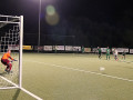 Stein-TSV-18