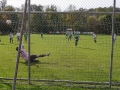 Stein2-TSV-10