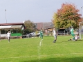 Stein2-TSV-14