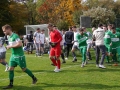 Stein2-TSV-2