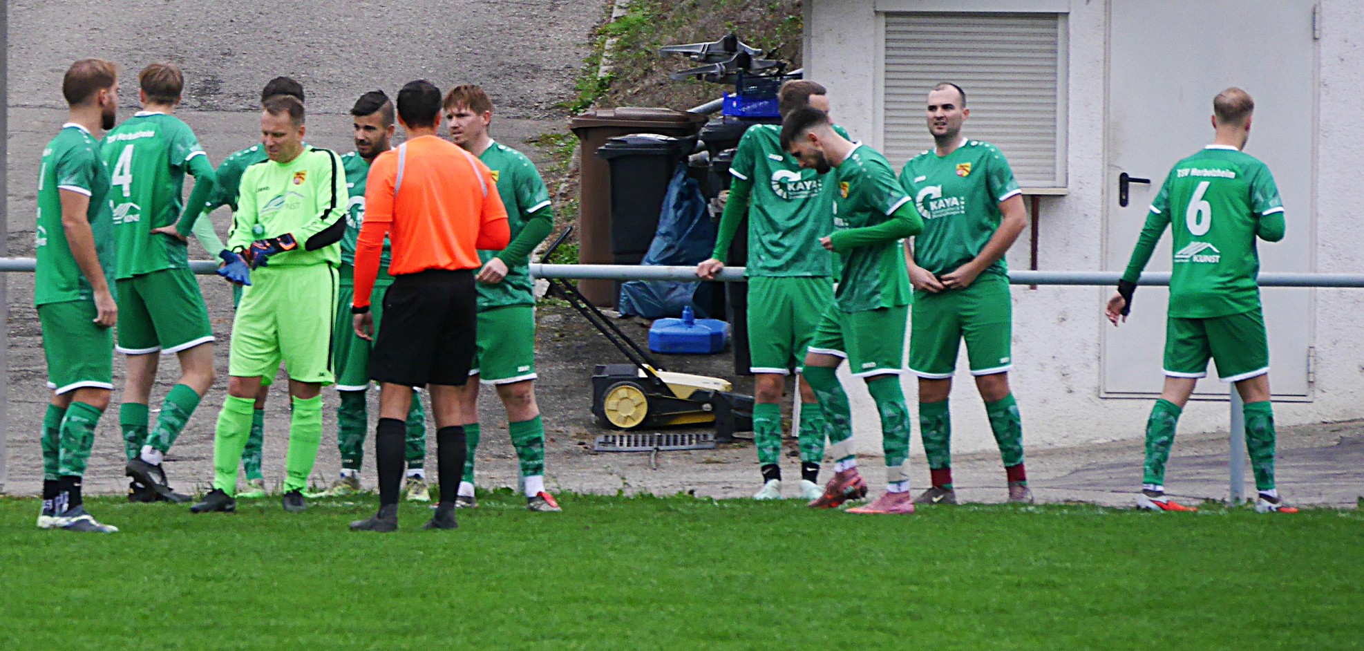 TSV-Amorb-1