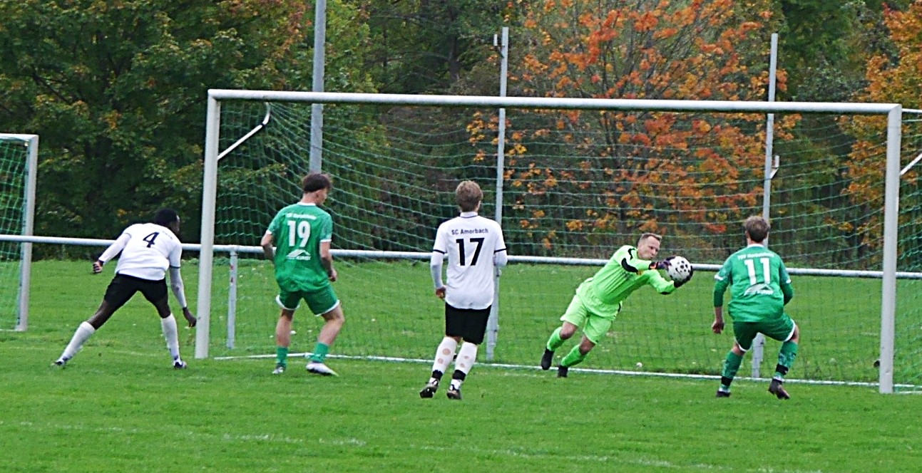TSV-Amorb-10