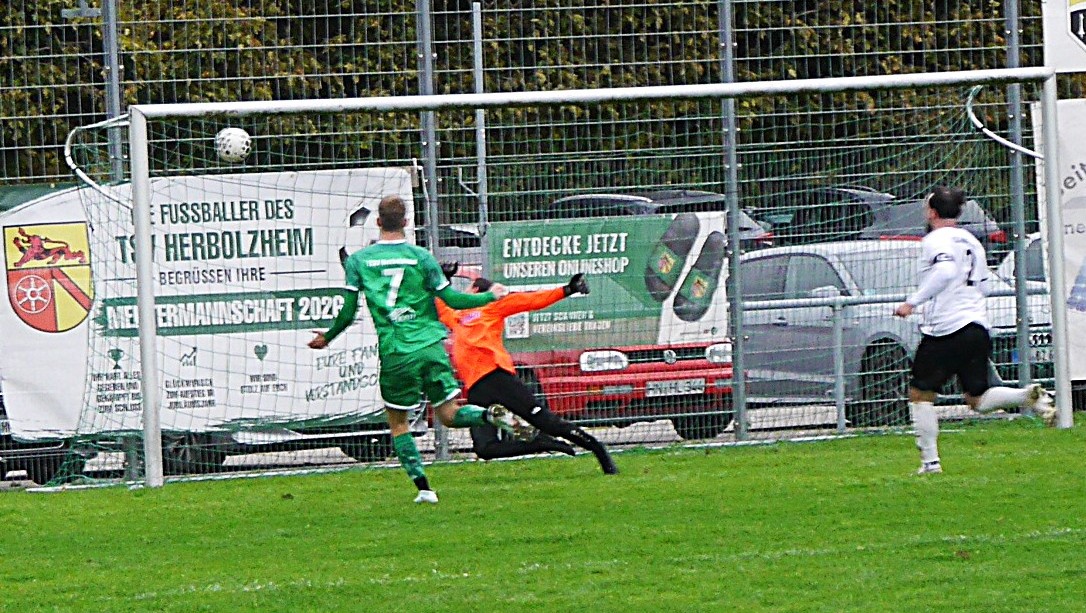 TSV-Amorb-11
