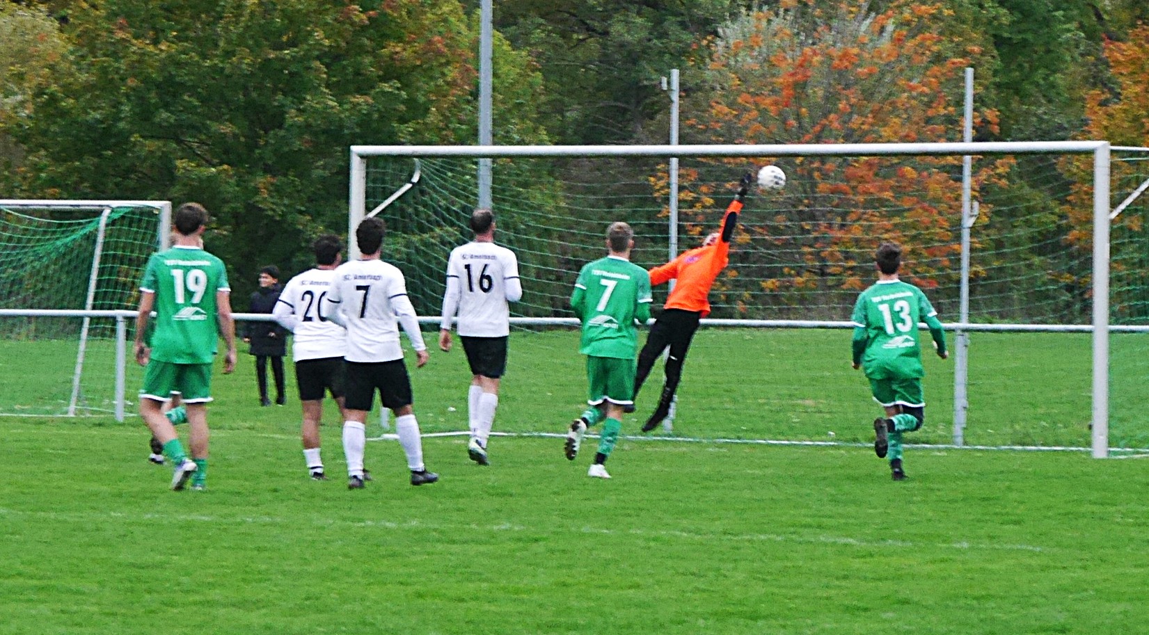 TSV-Amorb-17