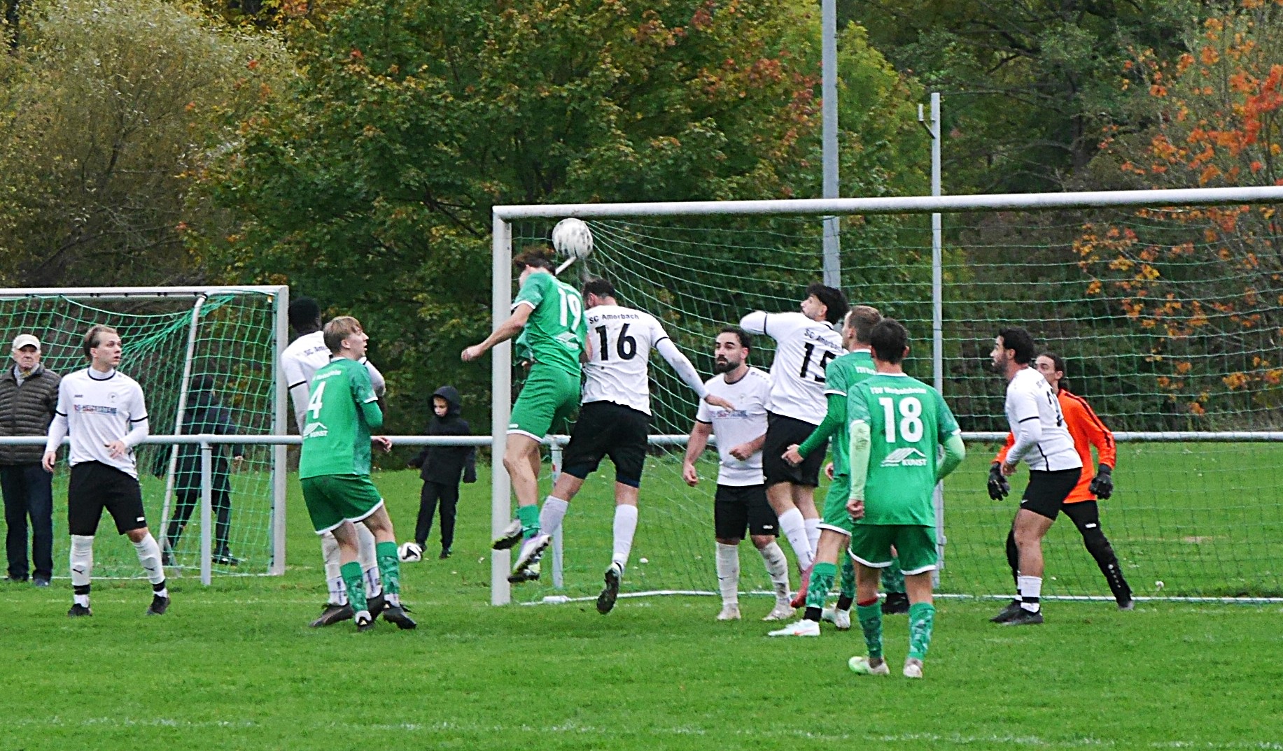 TSV-Amorb-19