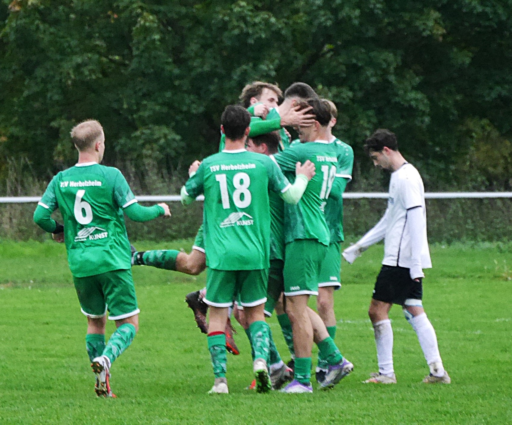 TSV-Amorb-20