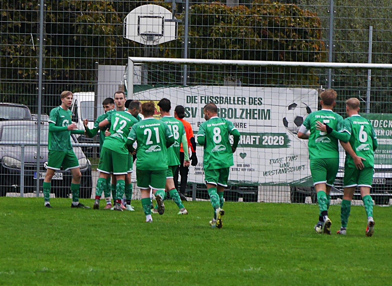TSV-Amorb-5