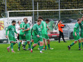TSV-Amorb-13