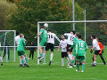 TSV-Amorb-19