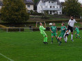 TSV-Amorb-4