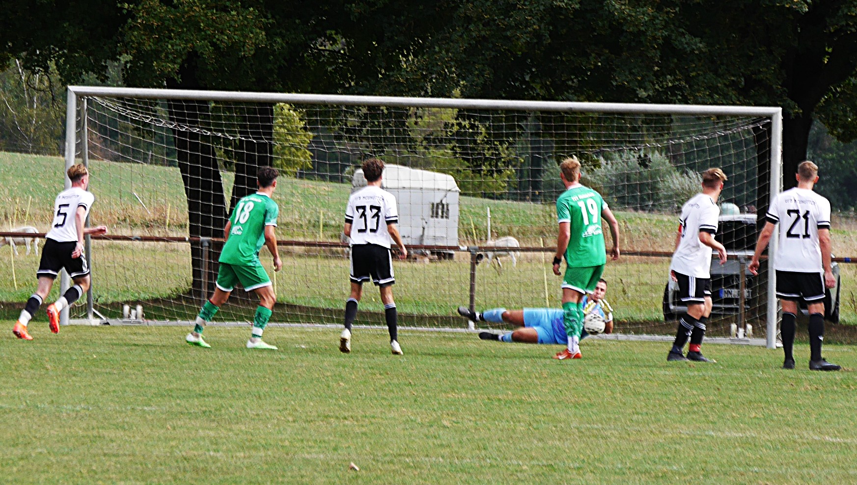 TSV-Neuhuet-4